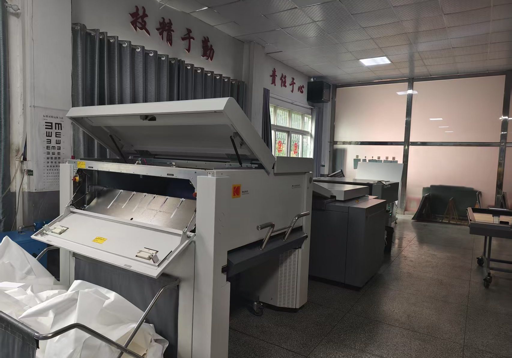 Формовыводное устройство Kodak (2)